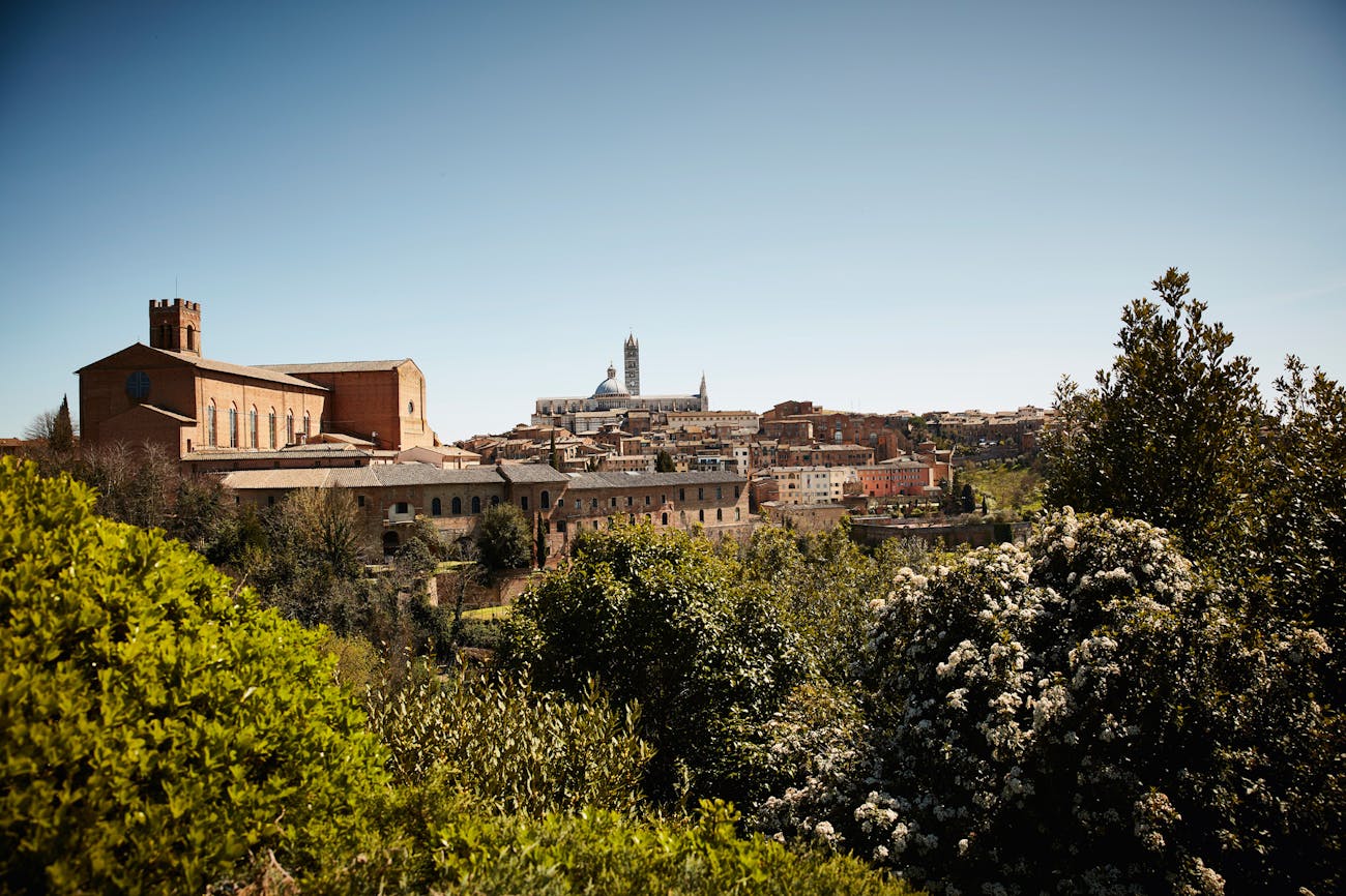 View of the cathedral of Siena