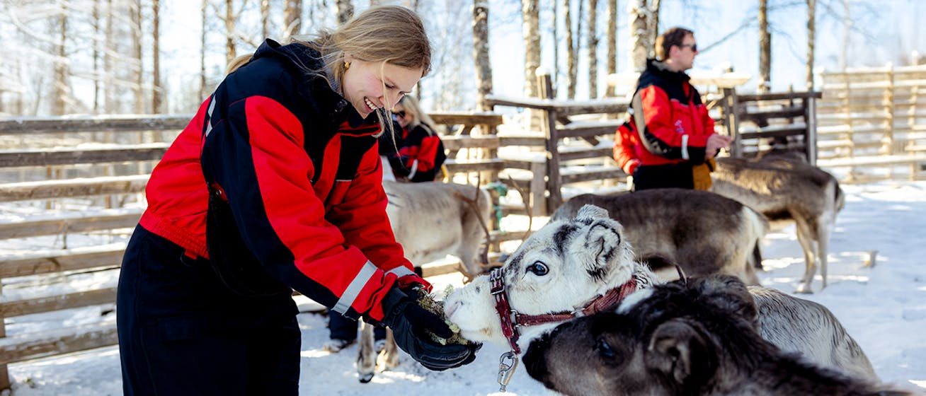 Porsche Ice Experience accompanying programme_woman feeds reindeer