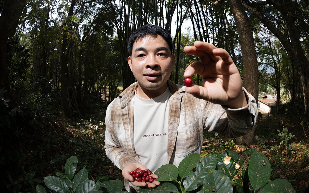 Close up of man holding up a red coffee berry to the camera 