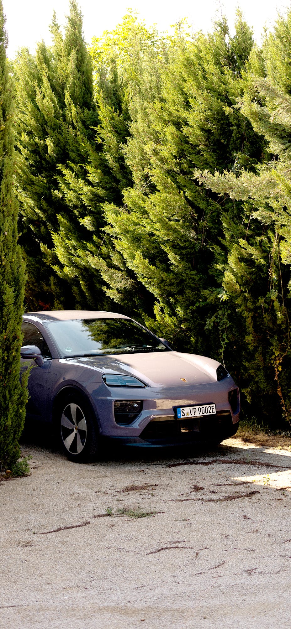 Porsche Macan 4 Electric parked, trees surrounding it