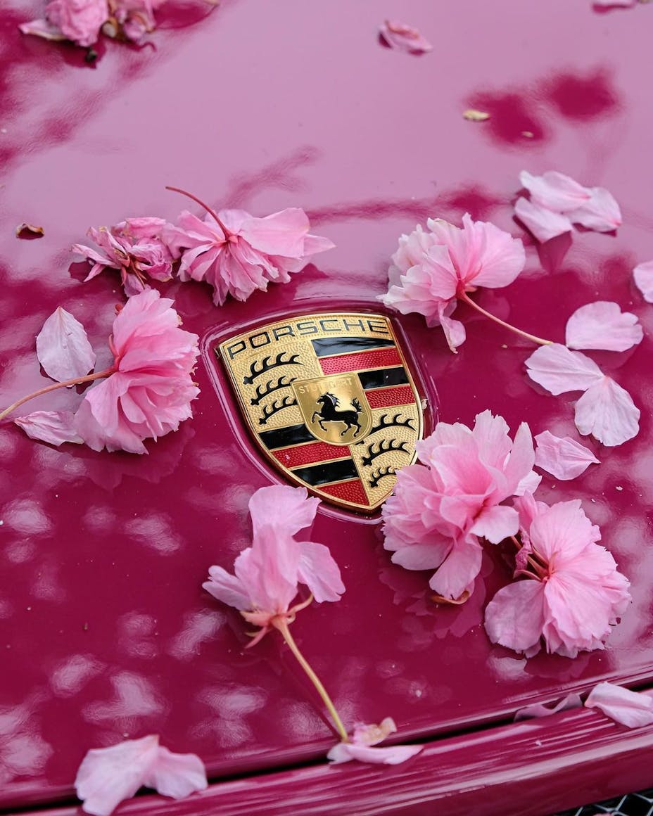 Image of a pink Porsche 911 with cherry blossoms on the hood 