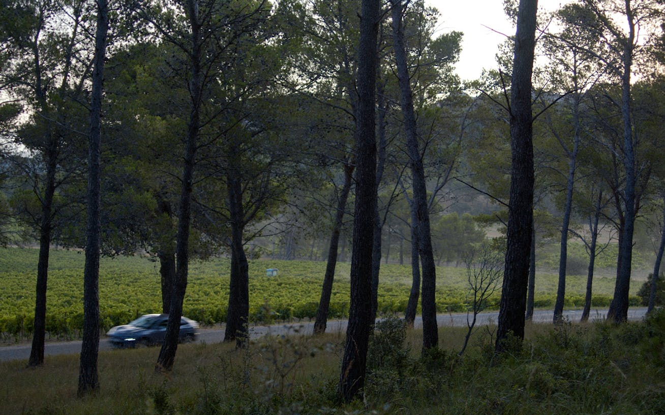 Porsche Macan 4 Electric driving through forest in southern France