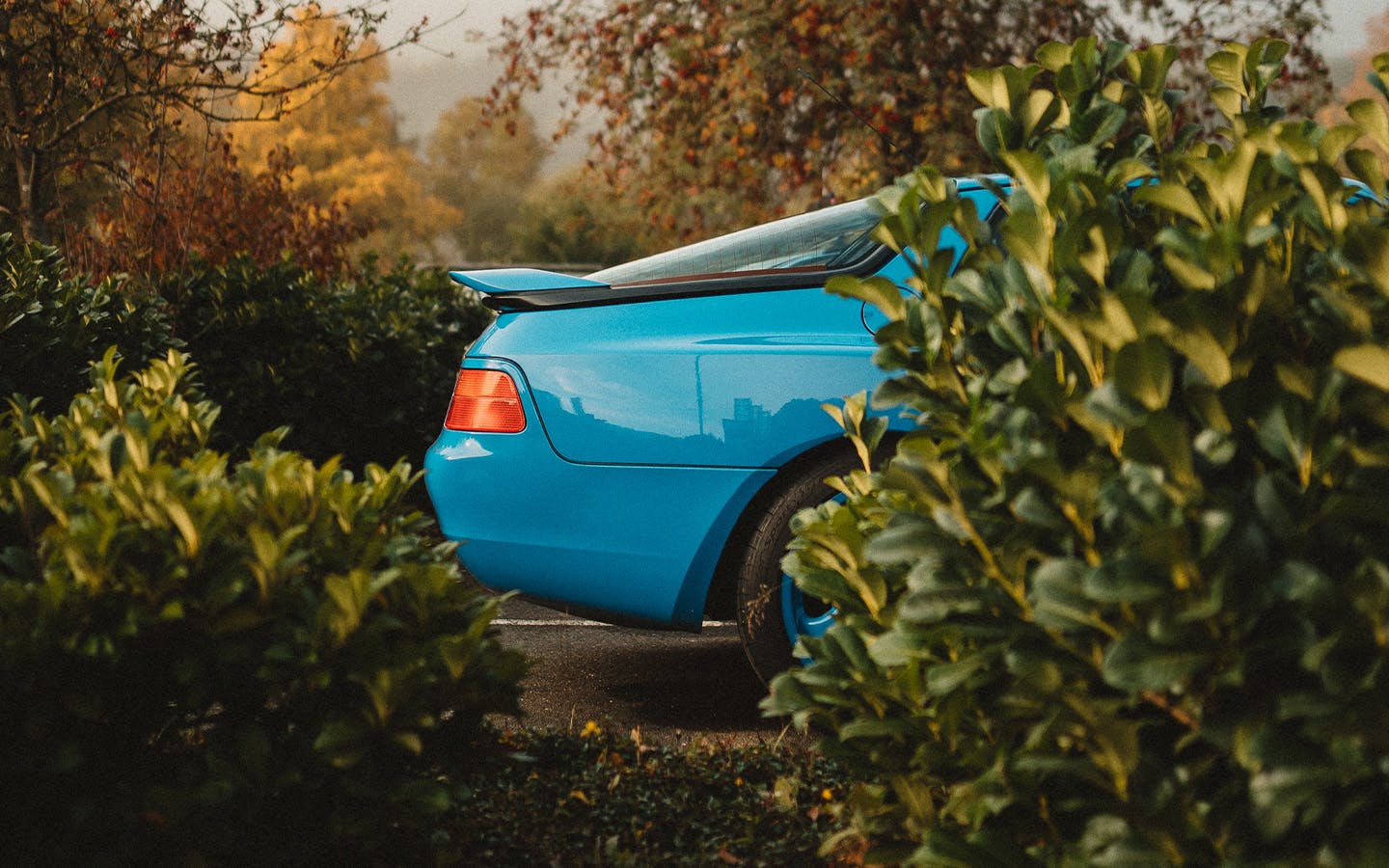 Blue Porsche 968 CS, partially hidden behind bushes