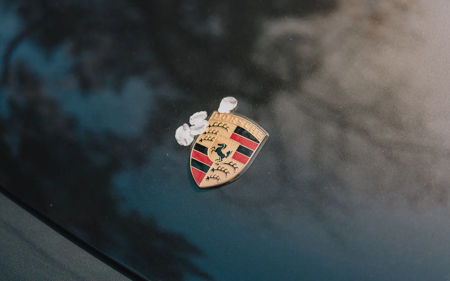 Close up of Porsche crest surrounded by cherry blossom petals