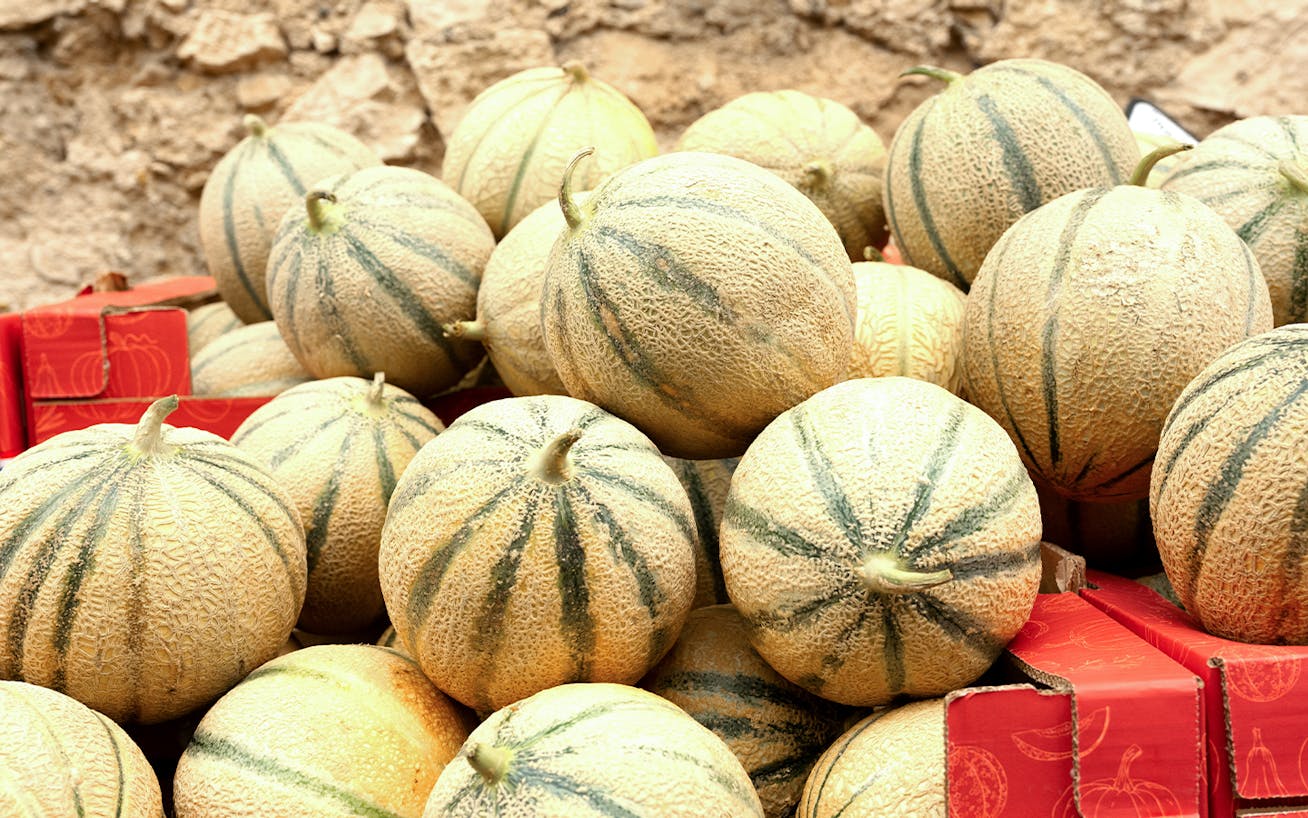 Cantaloupe melons piled up in boxes against rocky backdrop