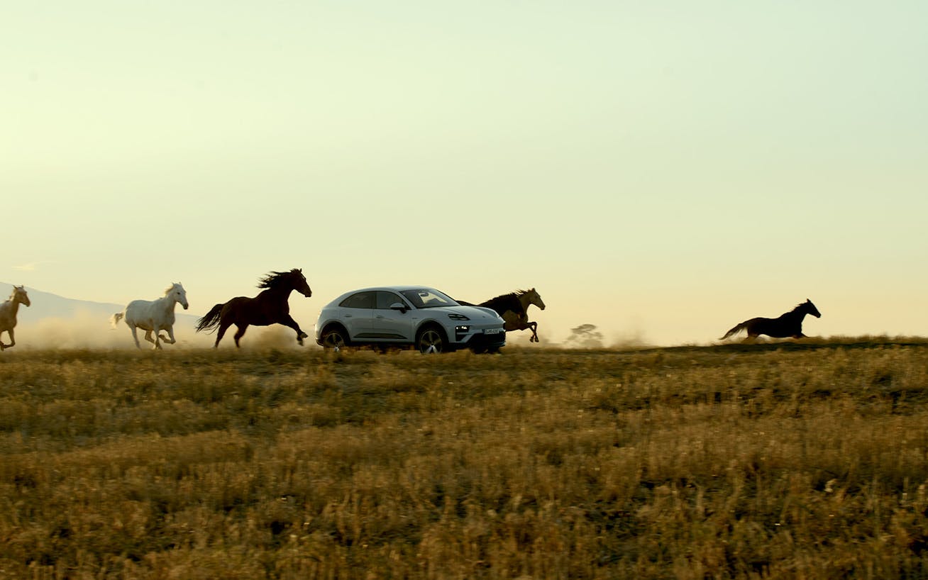 All-electric Porsche Macan driving across open field, horses galloping behind