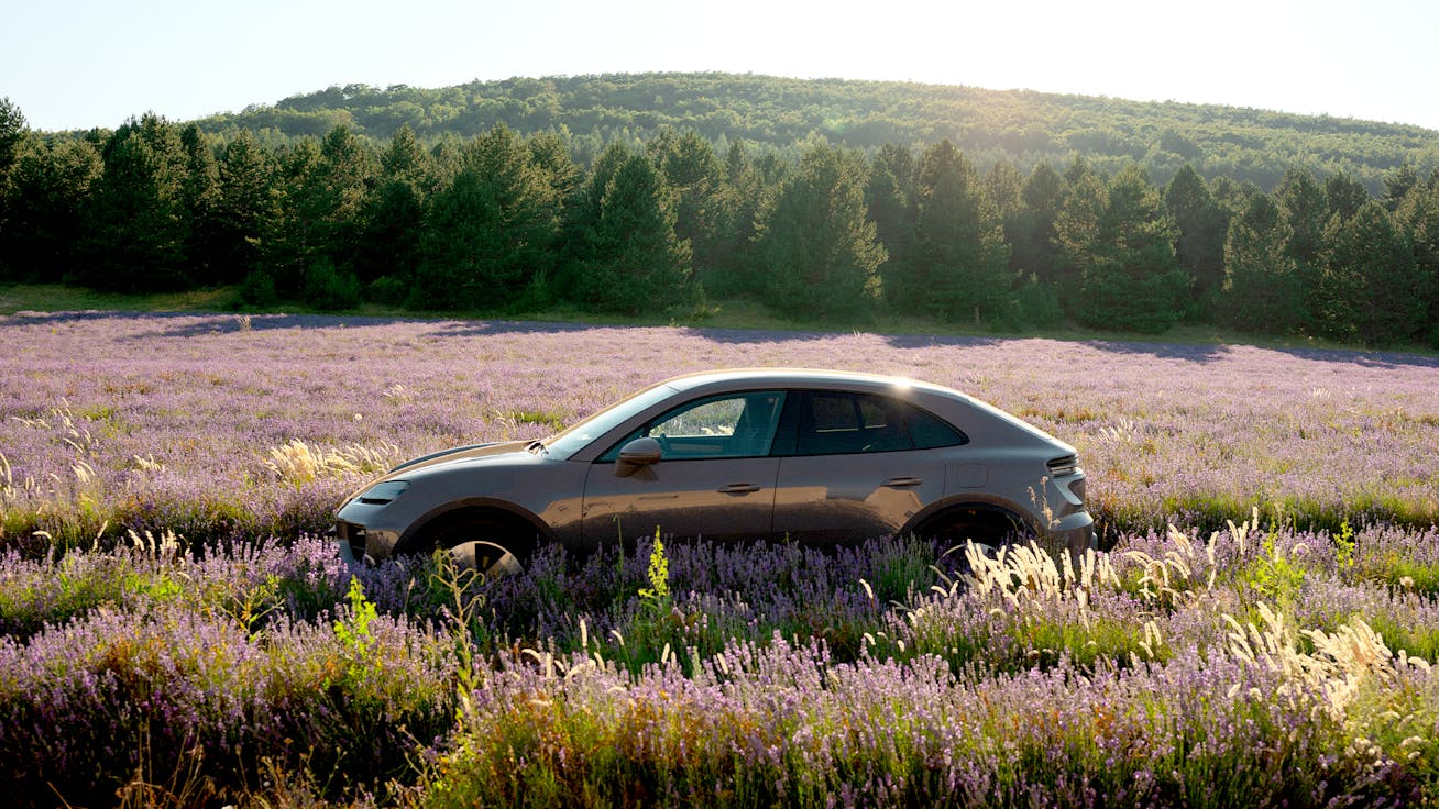 Porsche Macan 4 Electric in sunlit lavender fields in Provence