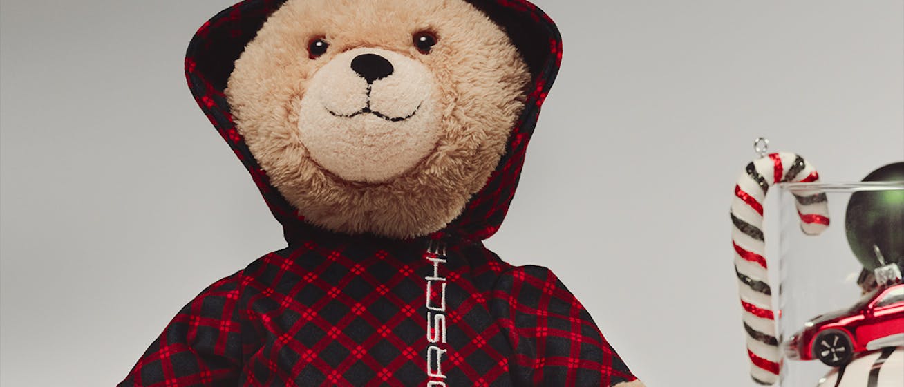 Teddy bear in Porsche tartan hoodie on white background 