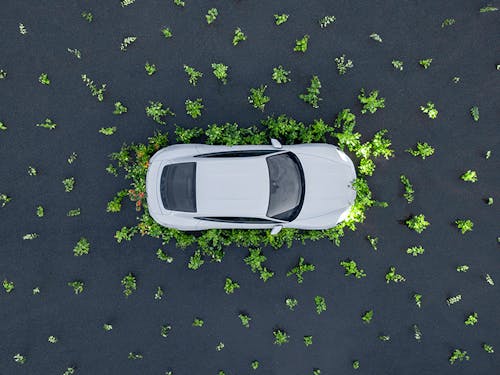 Aerial image Porsche Taycan car surrounded by trees headlights on