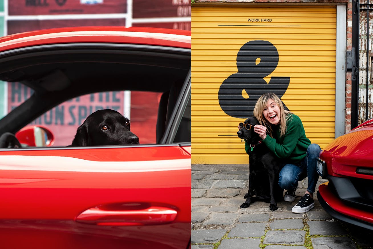 Black Labrador through window of red car/with owner, wearing glasses